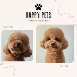 Happy Pets Hotel Salon Grooming Petshop