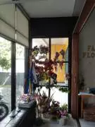 Fancy Florist Tembalang