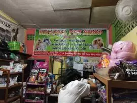 Khansa Petshop