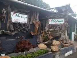 Aleciya Florist