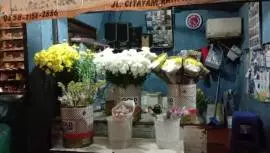 Herman Florist