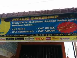  Atjeh Catshop