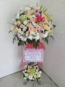 Mamo Florist