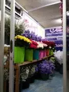 Toko Bunga Cahaya Florist Sidoarjo