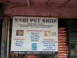 Yadi Pet Shop 