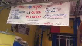 Queen Petshop