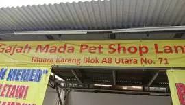 Gajah Mada Pet Shop - Muara Karang