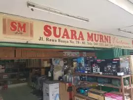 Suara Murni Elektronik