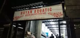 Royan Aquatic