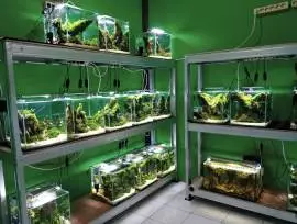 Sultan Aquatic Gallery