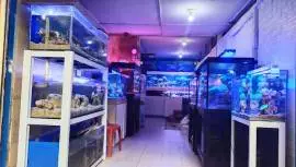 Dinur Aquarium