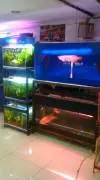 My Land Aquarium