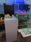 AliCha Aquarium