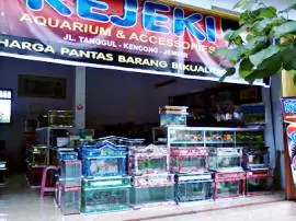 SRejeki Aquarium & Accessories Jember