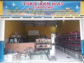 Toko Ikan Hias Sukodono