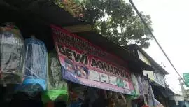 Dewi Aquarium