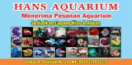 HANS AQUARIUM