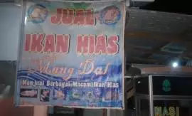 Ikan Hias Mang Dul