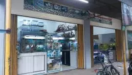 Toko Aquarium Dedi Aquascape