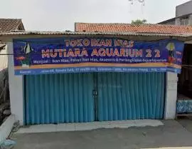 Toko Ikan Hias Mutiara Aquarium 2