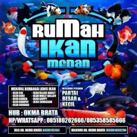 Rumah ikan medan