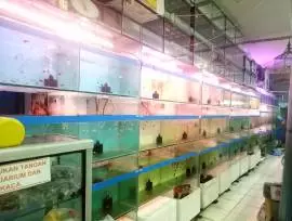 Hanny Aquarium