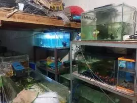 Cinta Aquarium