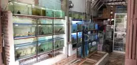 Kios Ikan Hias Latansa Aquarium