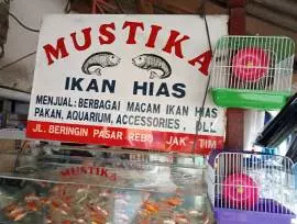 Mustika Ikan Hias