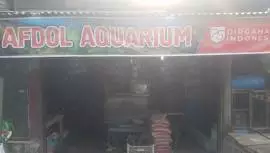 Ikan Hias Afdol Aquarium