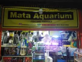 Toko Ikan Hias Mata Aquarium