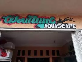 Cijantung aquascape