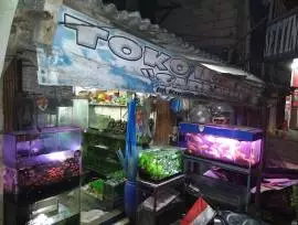 Toko Ikan Hias Sari Asih