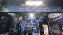 Faris aquarium