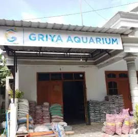  Griya Aquarium & Ikan Hias