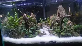 TO Aquascape