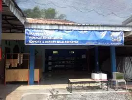 Emerald Fish Store Cabang Ngawi