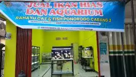 pusat ikan hias rahayu