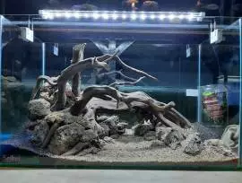 Seikei aquascape