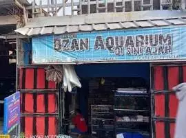 Dzan Aquarium