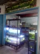 Aquascape Cimahi Qiew Aquatic