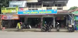 Teluk jambe aquarium