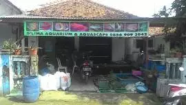 D'lima Aquascape