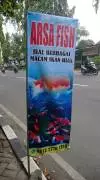 ARSHA FISH IKAN HIAS AQUARIUM AQUASCAPE