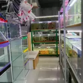 Kios Naufish Aquarium