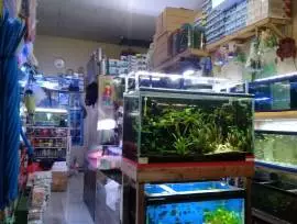 Monica Aquarium