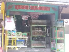 Qoeen Aquarium