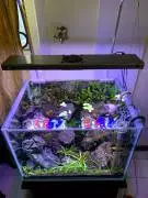 ADS LED & AQUASCAPE