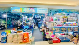 Kuya Pet Shop - Pet Shop di PTC Surabaya