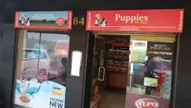 Puppies Pet Shop